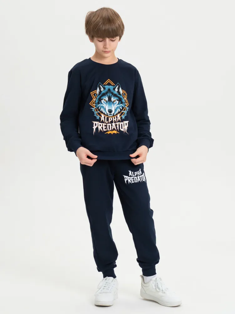 Комплект одежды Мальчики Виктория Ваганова Повседневный двойка темно-синий, размер 134 Футер двухнитка Анималистический Манжеты Узбекистан На любой сезон Без застежки, Резинка