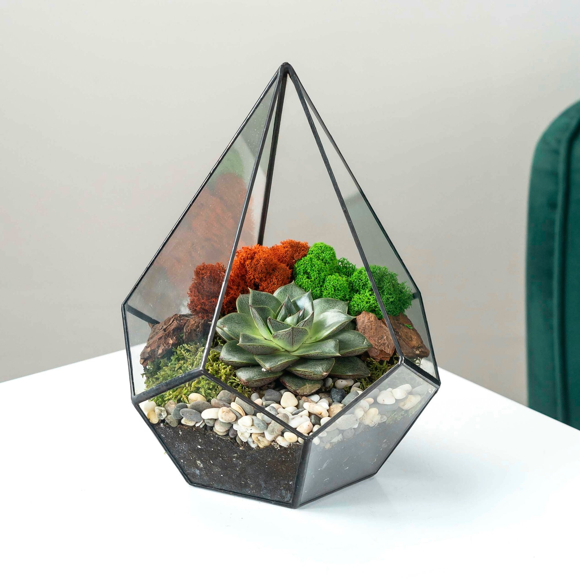 Флорариум  Капля с суккулентом каменная роза